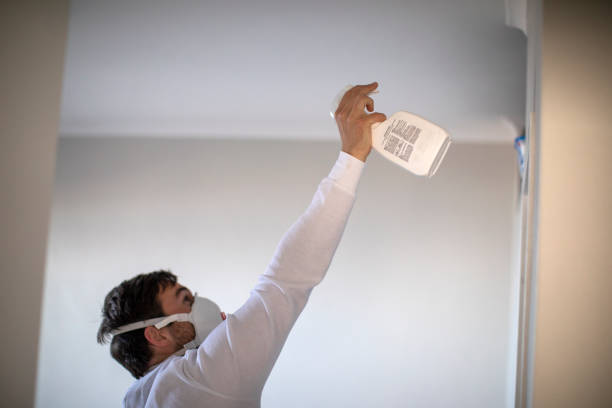 Reliable Fairfax Station, VA Mold Remediation Solutions
